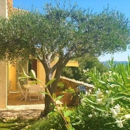 Maison Sainte-maxime, 5 Pieces, 8 Personnes - Fr-1-226-432
