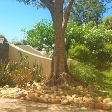 Nyaraló Maison Sainte-maxime, 5 Pieces, 8 Personnes - Fr-1-226-432 *